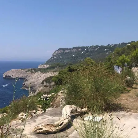 Apartment Sea Symphony. Unbeatable Location!